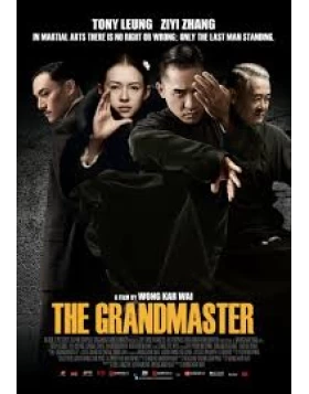 THE GRANDMASTER DVD