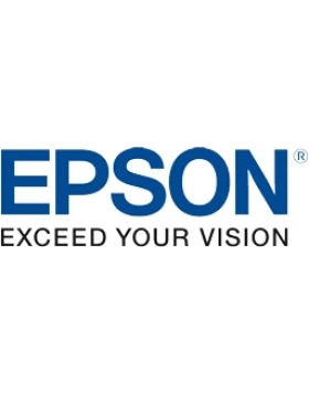 EPSON Cartridge Black C13T49N100