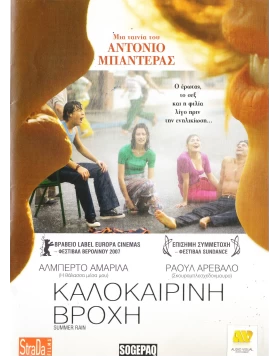 ΚΑΛΟΚΑΙΡΙΝΗ ΒΡΟΧΗ - SUMMER RAIN DVD USED