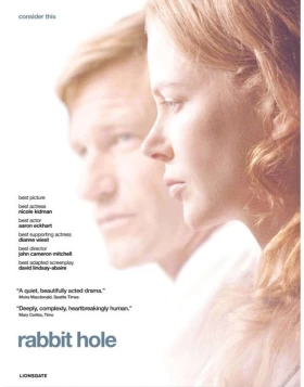 ΑΠΩΛΕΙΑ - RABBIT HOLE DVD USED
