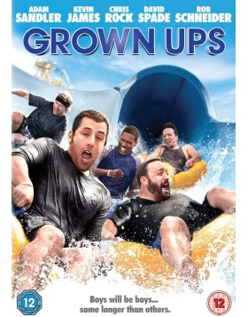 ΟΙ ΜΕΓΑΛΟΙ - GROWN UPS DVD USED