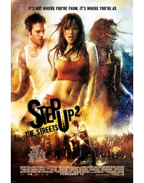 STEP UP 2 : ΤΟ ΕΠΟΜΕΝΟ ΒΗΜΑ - STEP UP 2: THE STREETS DVD USED