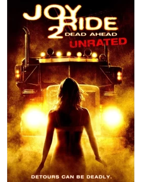 ΠΟΤΕ ΜΗ ΜΙΛΑΣ ΣΕ ΞΕΝΟΥΣ 2 - JOY RIDE 2 DVD USED