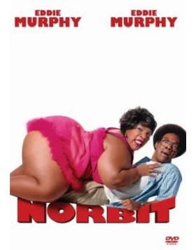 NORBIT DVD USED