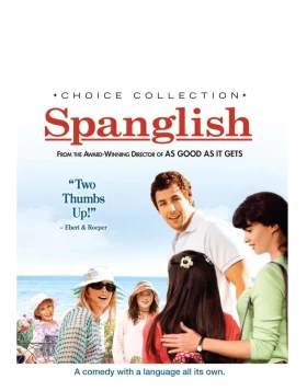 ΙΣΠΑΓΓΛΙΚΑ - SPANGLISH DVD USED
