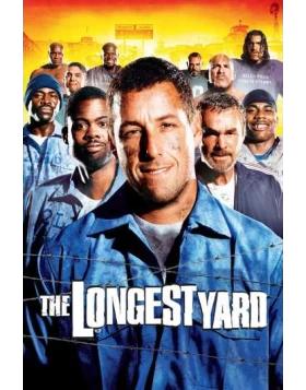 ΠΡΩΤΑΘΛΗΜΑ ΓΙΑ ΒΑΡΥΠΟΙΝΙΤΕΣ - THE LONGEST YARD DVD USED