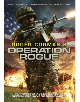 ΕΠΙΧΕΙΡΗΣΗ ΚΑΘΑΡΜΑΤΑ - OPERATION ROGUE DVD USED