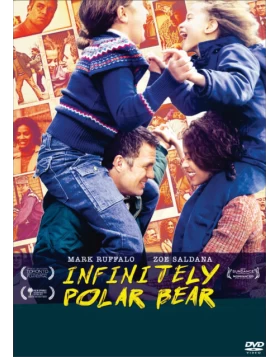 ΟΙΚΟΓΕΝΕΙΑΚΕΣ ΑΝΙΣΟΡΡΟΠΙΕΣ - INFINITELY POLAR BEAR DVD USED