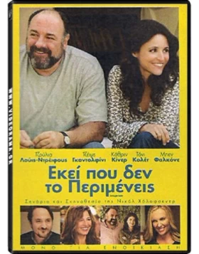 ΕΚΕΙ ΠΟΥ ΔΕΝ ΤΟ ΠΕΡΙΜΕΝΕΙΣ - ENOUGH SAID DVD USED