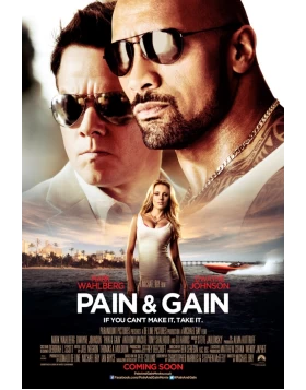 PAIN & GAIN DVD USED