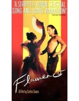 ΦΛΑΜΕΝΓΚΟ - FLAMENCO DVD USED