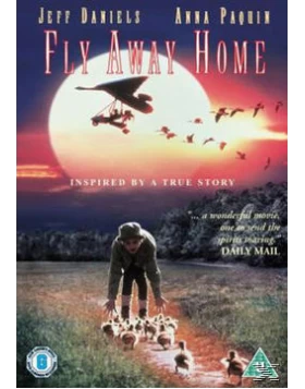 ΤΑ ΦΤΕΡΟΥΓΙΣΜΑΤΑ - FLY AWAY HOME DVD USED