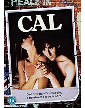 CAL DVD USED