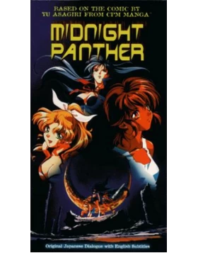 Ο ΠΑΝΘΗΡΑΣ ΤΟΥ ΜΕΣΟΝΥΧΤΙΟΥ - MIDNIGHT PANTHER DVD USED