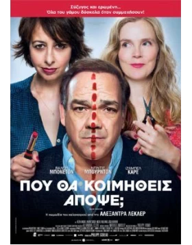 ΠΟΥ ΘΑ ΚΟΙΜΗΘΕΙΣ ΑΠΟΨΕ - Garde Alternée / Joint Custody DVD USED