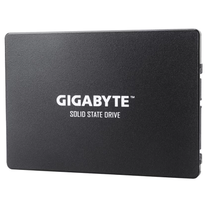 GIGABYTE SSD 256GB  2,5''  SATA III (GP-GSTFS31256GTND)
