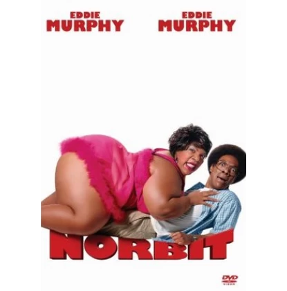 NORBIT DVD USED