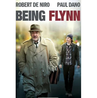 ΑΛΛΗ ΜΙΑ ΝΥΧΤΑ - BEEING FLYNN DVD USED