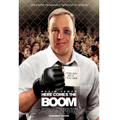 ΚΑΘΗΓΗΤΗΣ ΒΑΡΕΩΝ ΒΑΡΩΝ - HERE COMES THE BOOM DVD USED