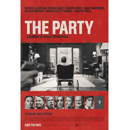 THE PARTY DVD USED