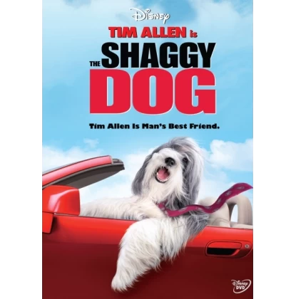 ΤΟ ΣΚΥΛΟΛΟΙ - SHAGGY DOG DVD USED